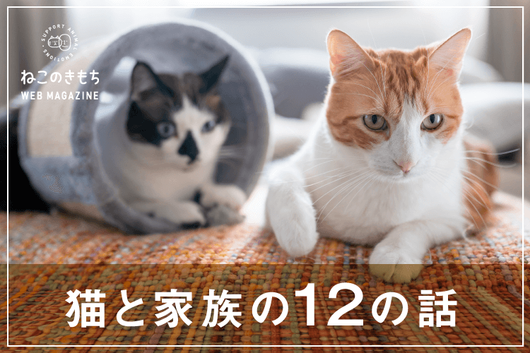 猫と家族の12の話